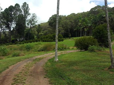 Lake Eacham