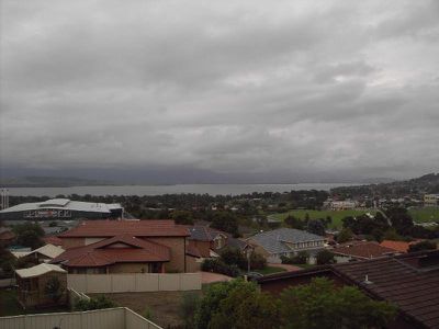 Blackbutt