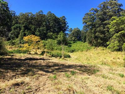 1 / 818 Blue Knob Road, Nimbin