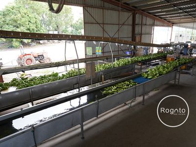 387 Fassio Road, Mareeba