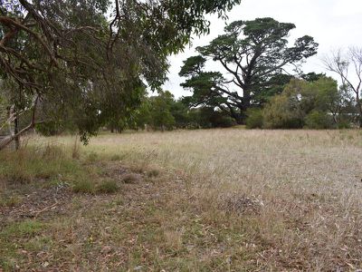 Lot 22, Rendelsham Road, Millicent