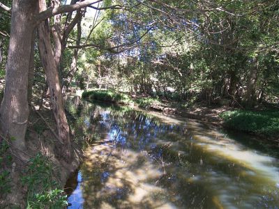 59 Crabbes Creek Rd, Crabbes Creek