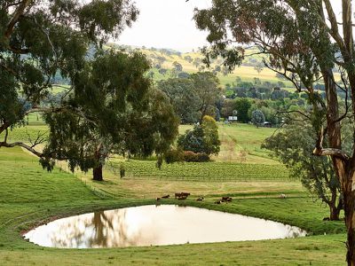 315 Wairere Road, Boorolite