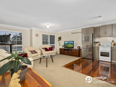 45 Banksia Road, Mount Annan