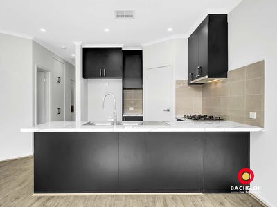 13 Gaynor Avenue, Paralowie