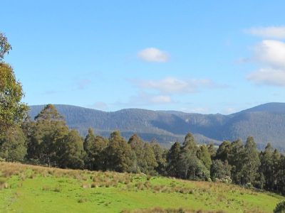 Halls Track Road, Pelverata