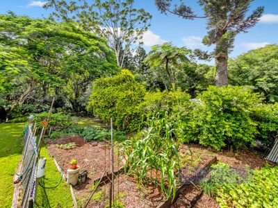 9 Left Bank Road, Mullumbimby