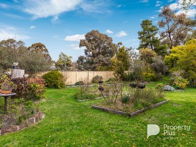 34 Smiths Road, Maiden Gully