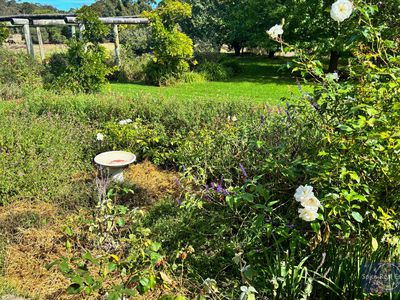124 Sheoak Drive, Hay
