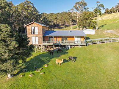 49 Packers Road, Huonville
