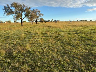 156 Warral-Bithramere Road, Tamworth