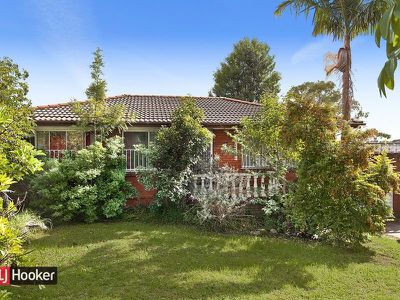 12 Arnott Road, Marayong