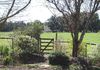 * Boomey Stud   - Euchareena Road, Molong