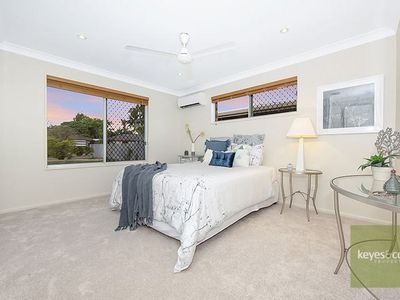 8 Melaleuca Street, Annandale