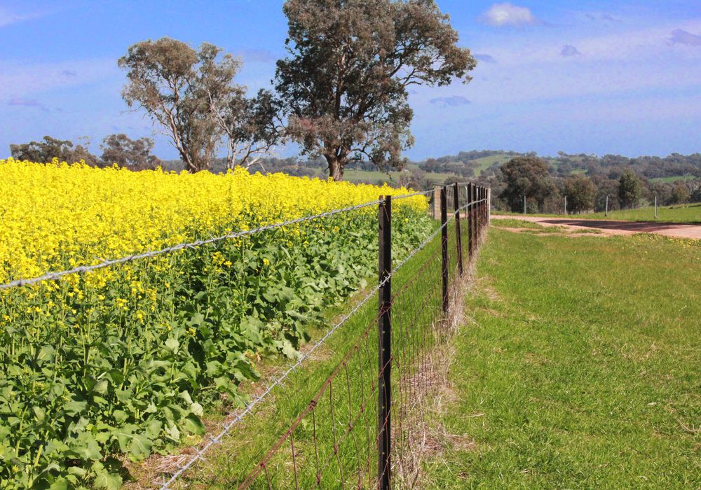 2056 Benalla-Yarrawonga Road, Bungeet West