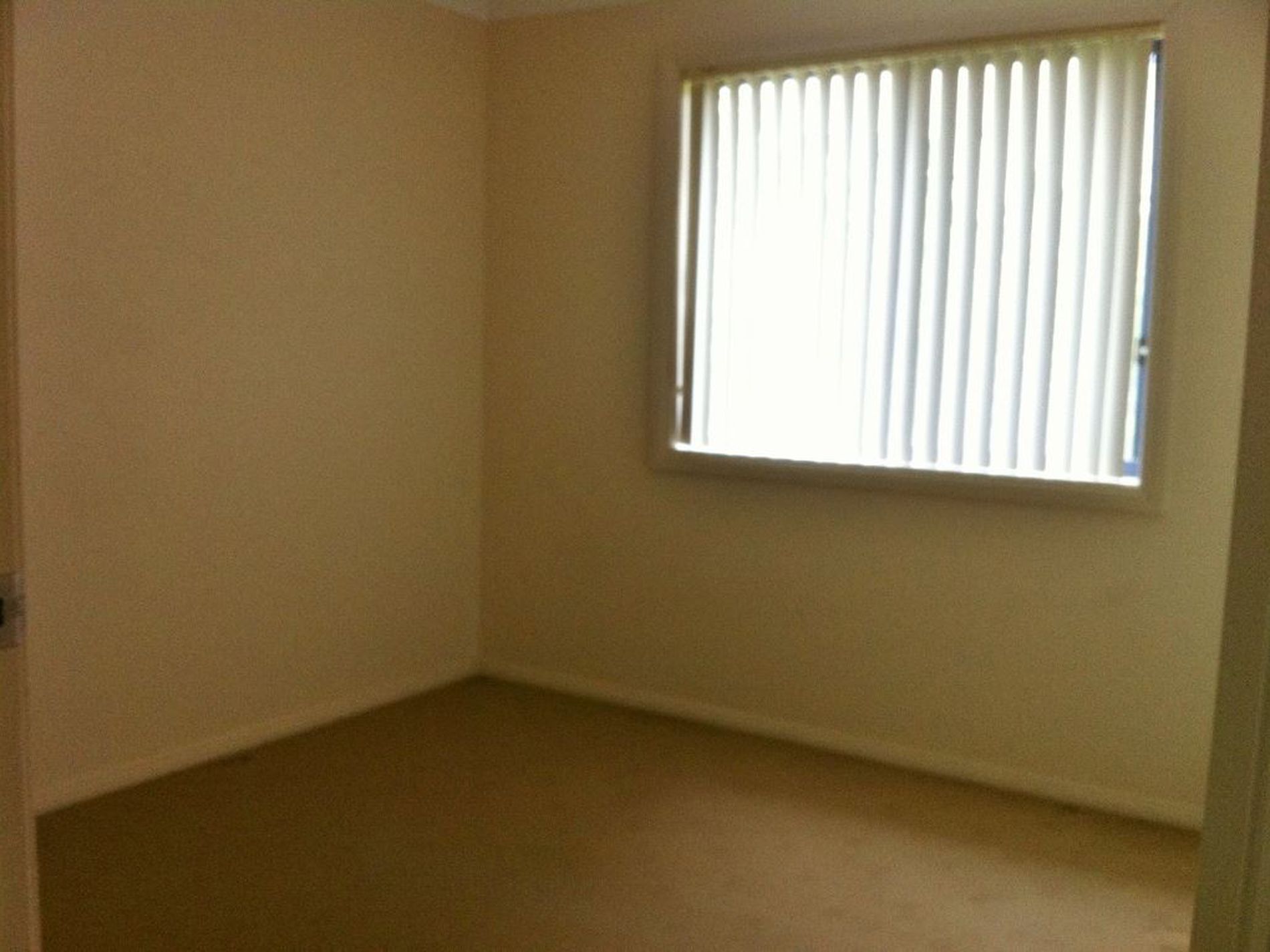 49 Tulip Oak Drive, Ulladulla