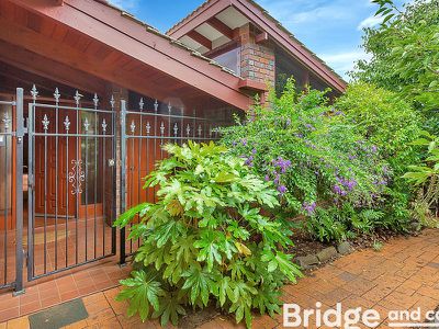 16 John Cleland Drive, Beaumont