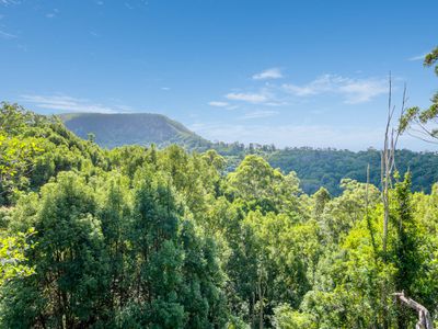 665 Left Bank Road, Mullumbimby Creek