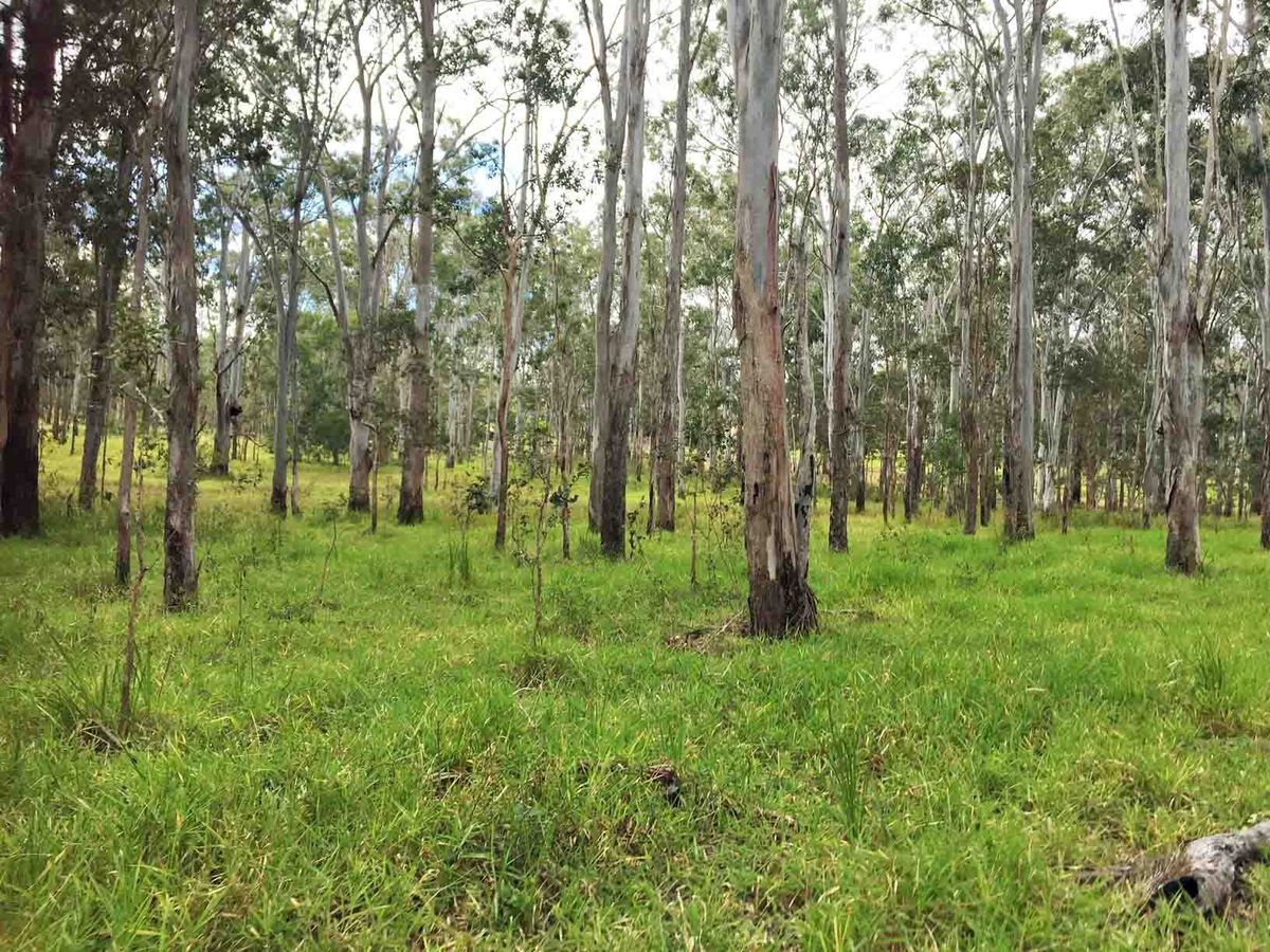 Lot 701-705, Rolley Road, Wondecla