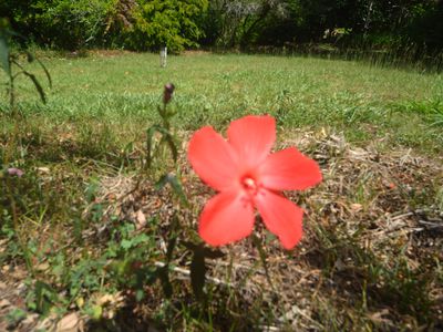 709 Kaban Road, Kaban