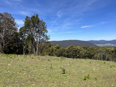 28834 Tasman Highway, Weldborough