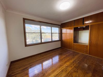 50 Wendy Ave, Georges Hall