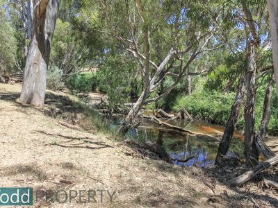 655 Spring Flat Road, Heathcote