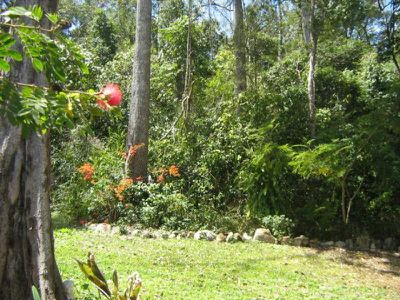 30 Schwartz Street, Cooktown