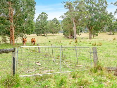 139 Narrows Road, Strathblane