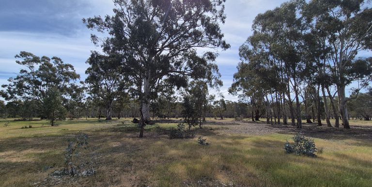 50 Ramage Road, Violet Town