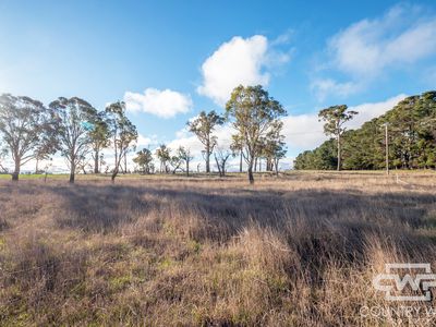 Lot 1, Tuckeys Lane, Guyra