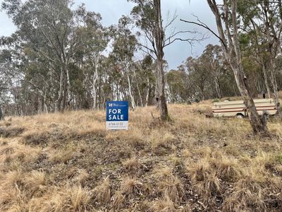Lot 231, Wollun Road, Walcha Road