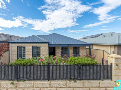 16 Wyperfeld Street, Yanchep