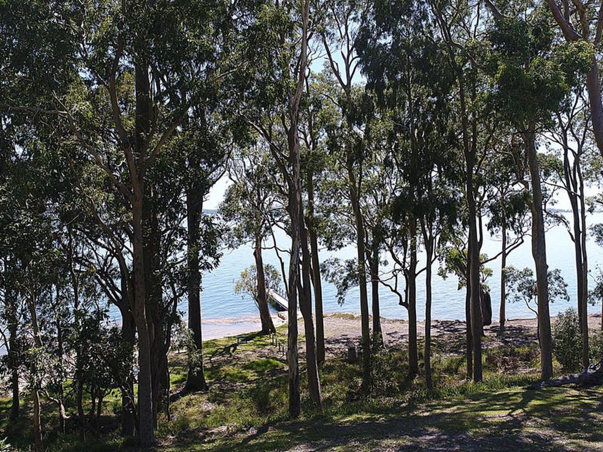 32 Watersleigh Avenue, Mallabula, Mallabula - Thumbnail 7