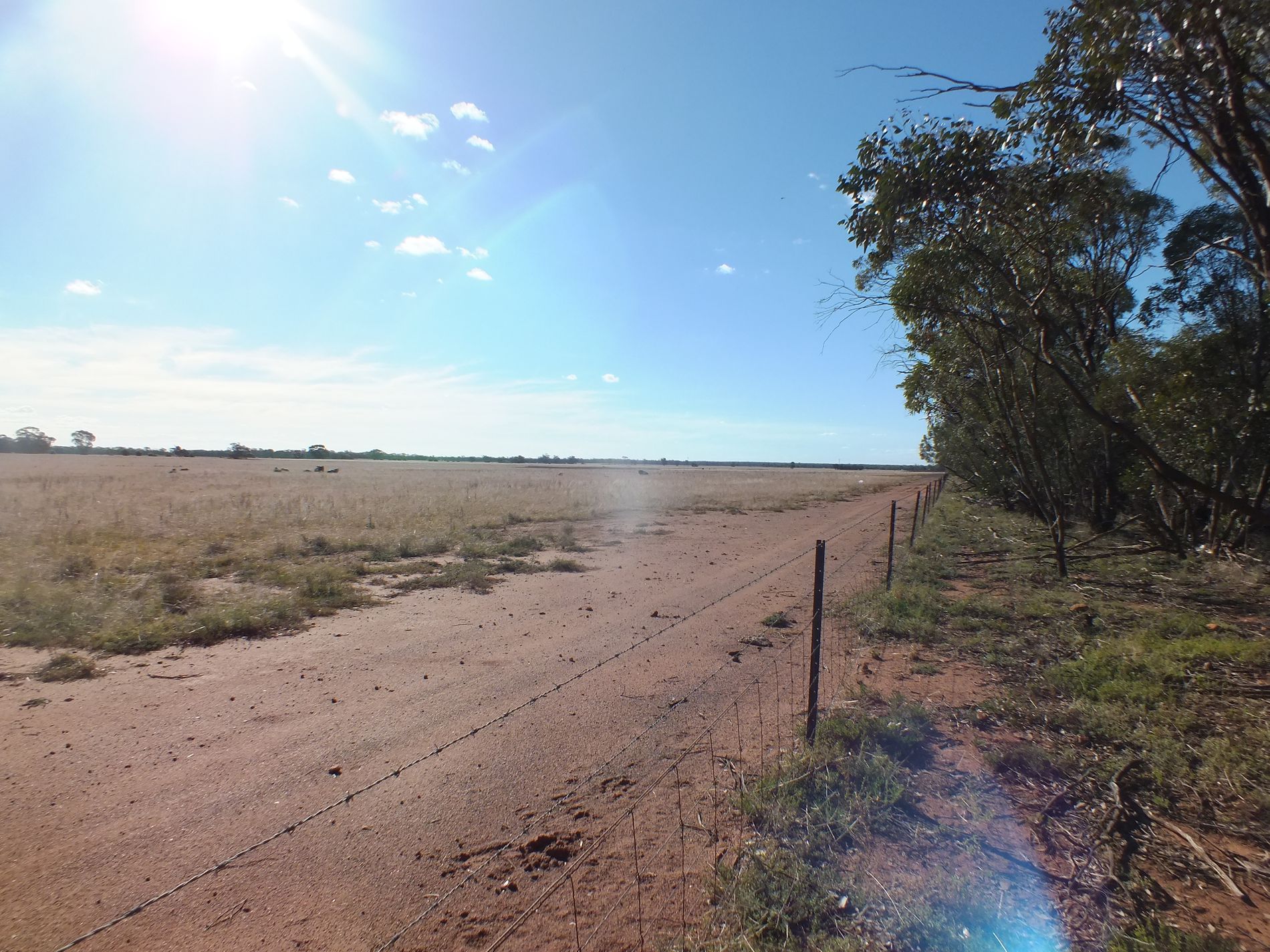 51 Connors Lane West Wyalong, West Wyalong