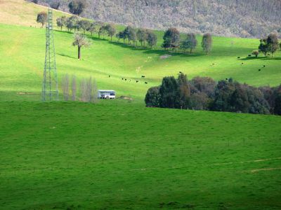 Green Lane, Dederang