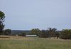 Molong