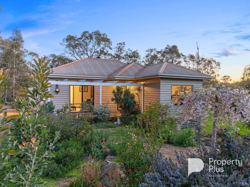 Real Estate Agent Bendigo Property Plus Real Estate