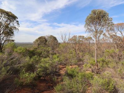 56  Heenans Lane, Heathcote
