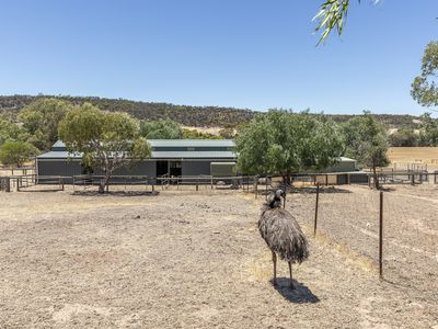 5895 Great Southern Highway Gilgering, York