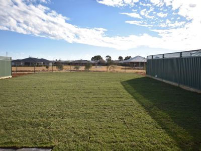 31 Amadeus Avenue, Dubbo