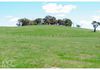 686 Vittoria Road, Millthorpe