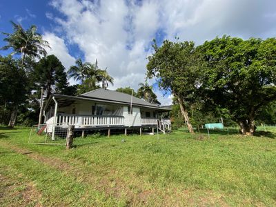 1239 Terania Creek Road, The Channon