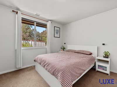 36 Willis Street, Evatt