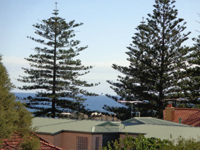 3 / 22 Avonmore Terrace, Cottesloe