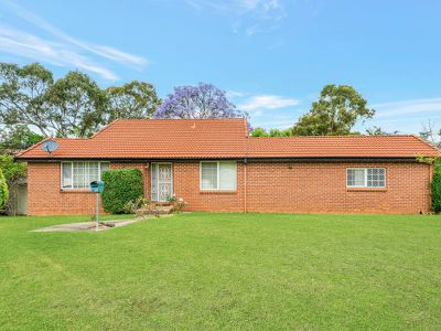 2 / 27 Appaloosa Circuit, Blairmount