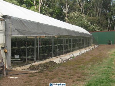 238 Winfield Road, Yungaburra
