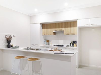 1 Silvereye Street, Wongawilli