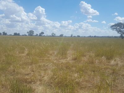6897 Riverina Highway, Hopefield