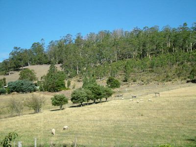 867 Woodbridge Hill Road, Gardners Bay